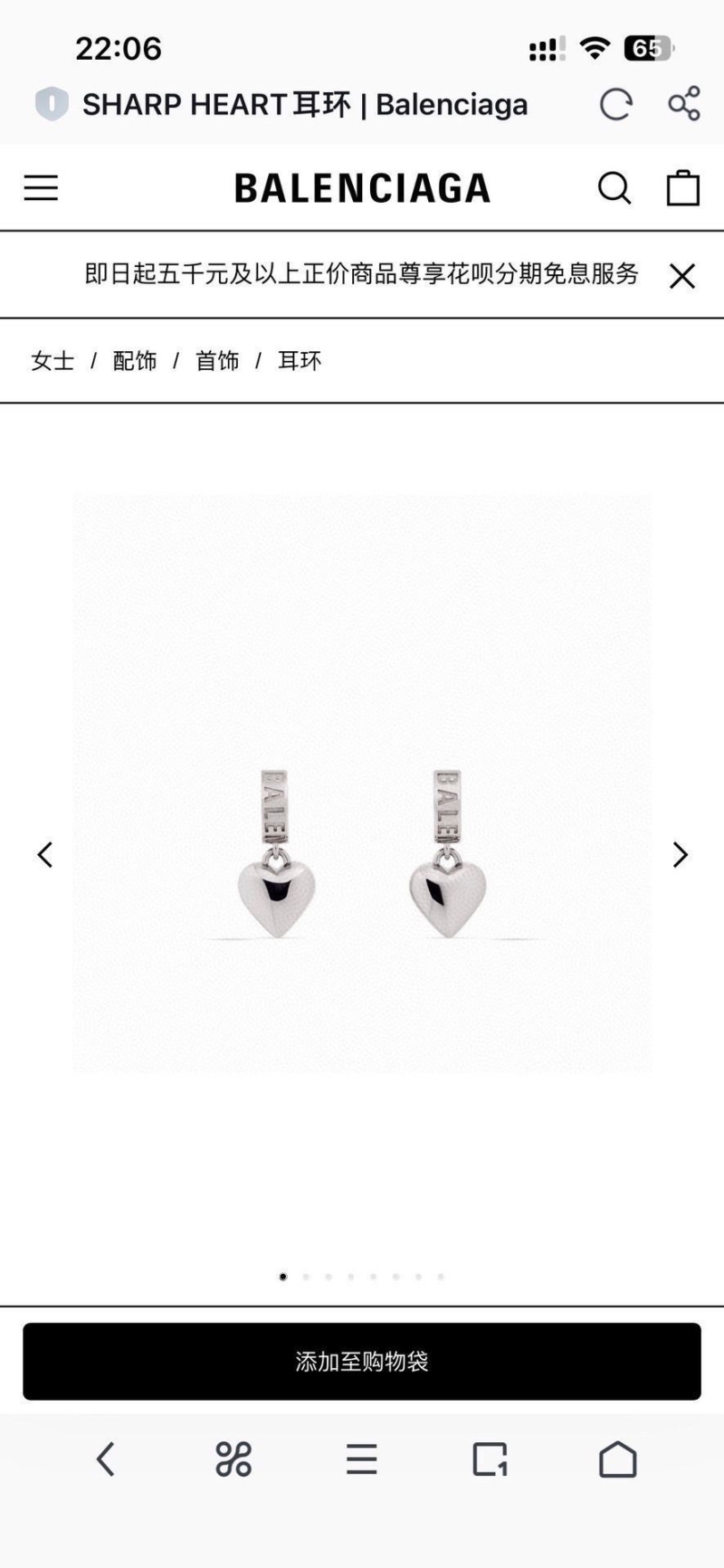 Burberry Earrings